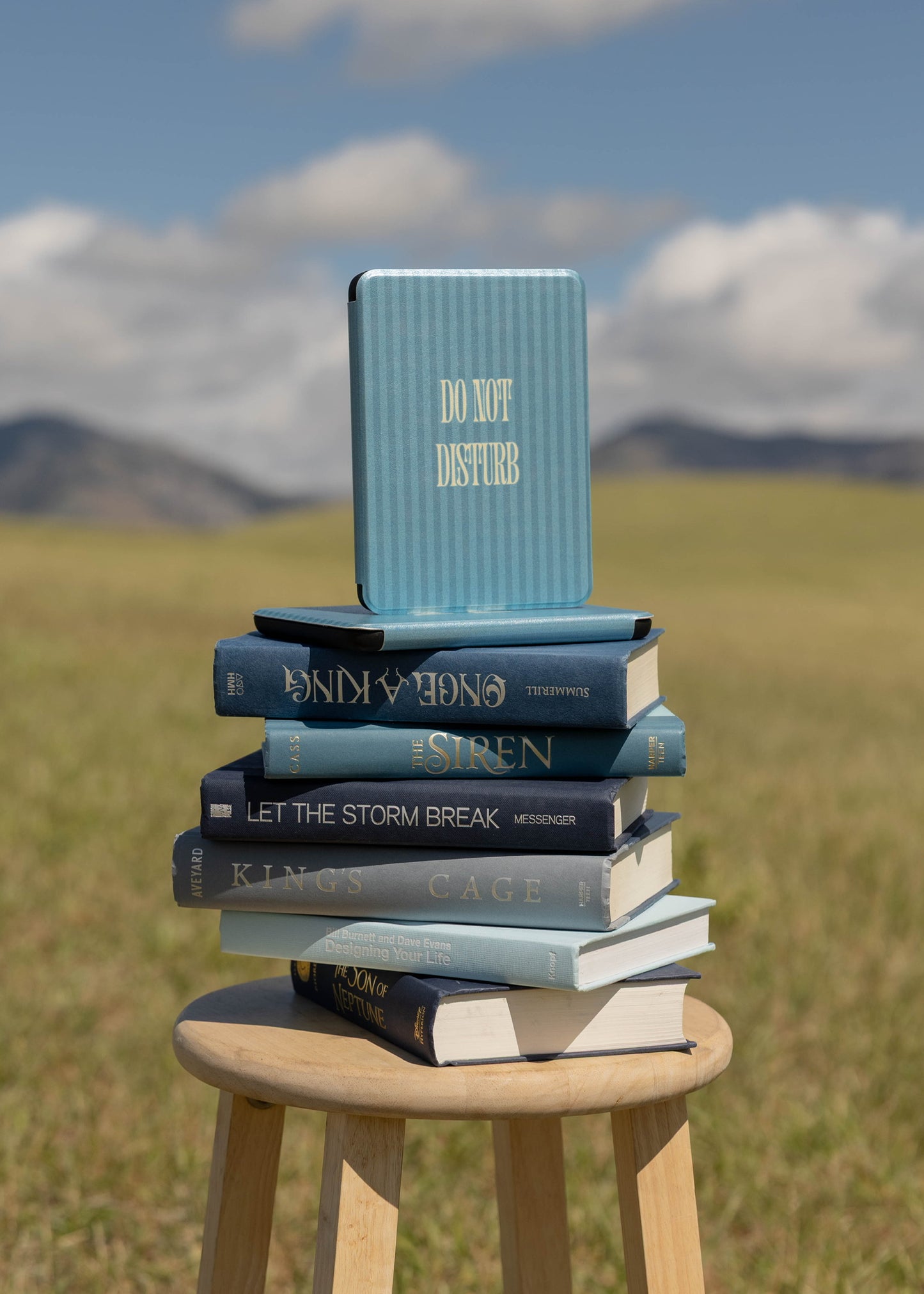 Do Not Disturb Case