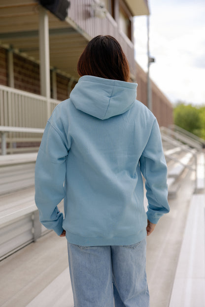 Team IRWSR Hoodie
